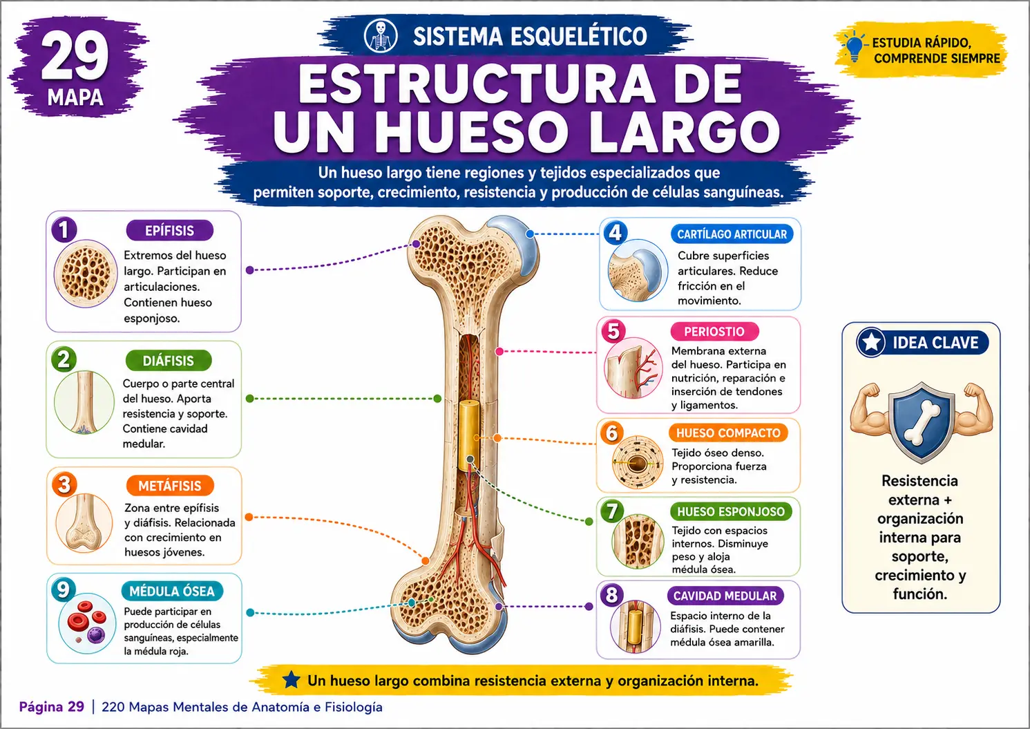 Página interna del material de estudio